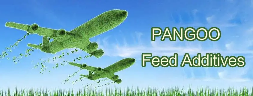 pangoo feed additives