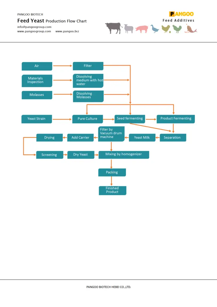 feed yeast production