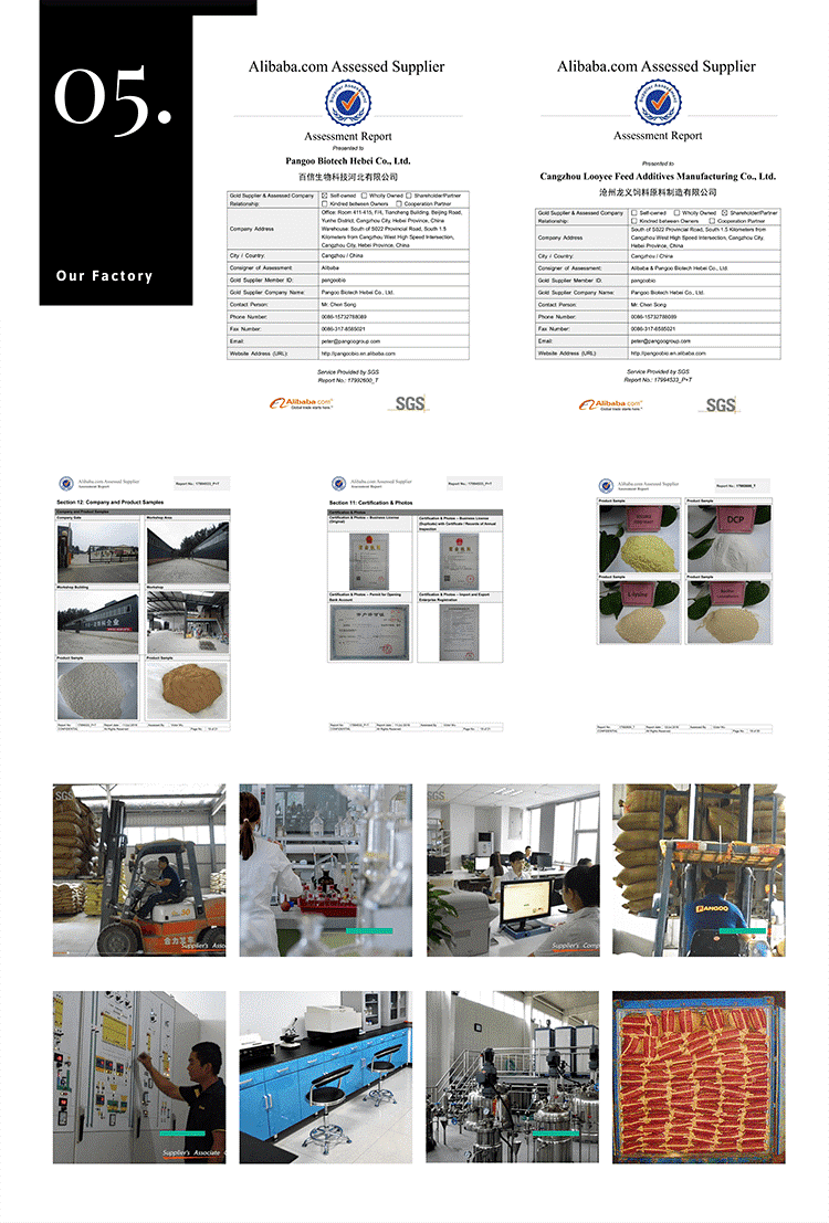 feed grade lysine supplier factory capacity