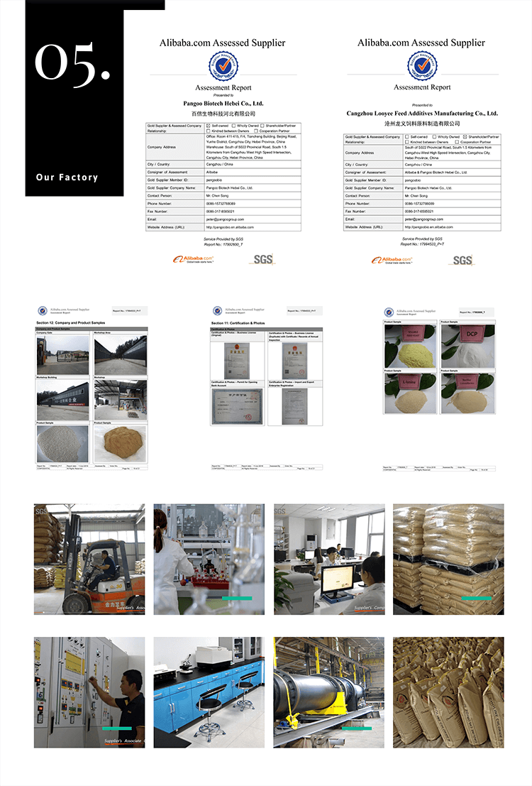 Feed additive factory setup for choline chloride production