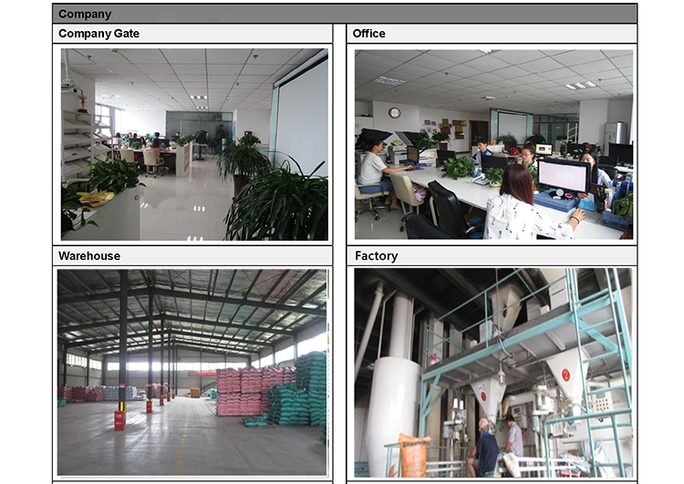 Choline Chloride Uses in Animals